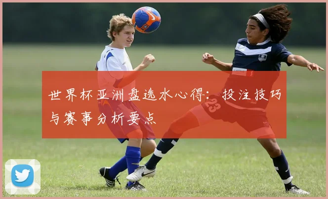 世界杯亚洲盘选水心得:投注技巧与赛事分析要点