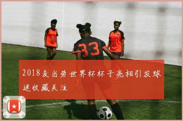 2018麦当劳世界杯杯子亮相引发球迷收藏关注